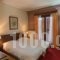 City Hotel Apollonion_best prices_in_Hotel_Central Greece_Evritania_Karpenisi