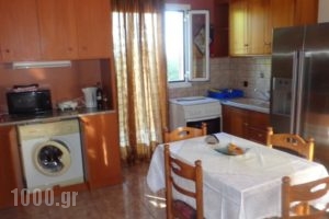 Anchor Studios_lowest prices_in_Hotel_Ionian Islands_Kefalonia_Kefalonia'st Areas