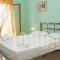 Fanias Rooms_accommodation_in_Room_Ionian Islands_Lefkada_Lefkada Chora