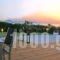 Villa Almyra_holidays_in_Villa_Crete_Heraklion_Agios Mironas