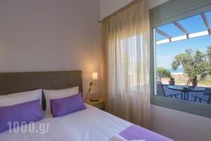 Terra di Olive_best prices_in_Hotel_Macedonia_Kavala_Kavala City