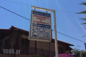 Pension Amanatidis_lowest prices_in_Hotel_Macedonia_Halkidiki_Ierissos