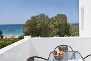 Naxoslosseo_lowest prices_in_Hotel_Cyclades Islands_Naxos_Naxos chora