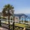 Niforos Apartments_best deals_Apartment_Ionian Islands_Kefalonia_Kefalonia'st Areas