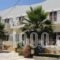 Lion-Suites_accommodation_in_Hotel_Crete_Chania_Kalyves