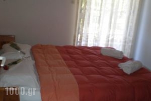 Olympion Village Studios_best deals_Hotel_Peloponesse_Ilia_Zacharo