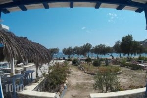 Glaros Hotel_holidays_in_Hotel_Cyclades Islands_Ios_Koumbaras