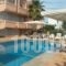 Toulipa 2_accommodation_in_Hotel_Aegean Islands_Chios_Aghia Ermioni