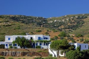 Spanos Apartments_holidays_in_Apartment_Cyclades Islands_Andros_Gavrio