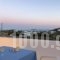 Spanos Apartments_best prices_in_Apartment_Cyclades Islands_Andros_Gavrio