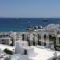 The George_accommodation_in_Hotel_Cyclades Islands_Mykonos_Psarou