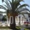 Konstantina Apartments_best deals_Apartment_Ionian Islands_Corfu_Lefkimi