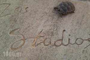 Zas Studios_accommodation_in_Hotel_Cyclades Islands_Naxos_Naxos chora