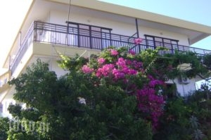 Panormitis  Studios_accommodation_in_Hotel_Dodekanessos Islands_Kos_Kos Rest Areas