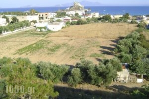 Panormitis  Studios_holidays_in_Hotel_Dodekanessos Islands_Kos_Kos Rest Areas