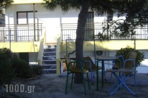 Panormitis  Studios_lowest prices_in_Hotel_Dodekanessos Islands_Kos_Kos Rest Areas