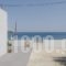 GeorgiasHouse_best deals_Hotel_Sporades Islands_Skyros_Linaria