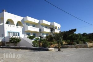 Studios Fokia Beach_holidays_in_Hotel_Dodekanessos Islands_Karpathos_Karpathos Chora