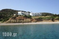 Studios Fokia Beach in Karpathos Chora, Karpathos, Dodekanessos Islands