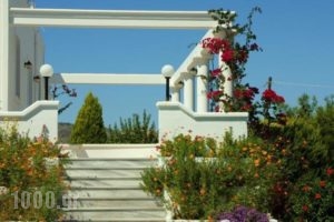 Villa Paradisos_holidays_in_Villa_Dodekanessos Islands_Rhodes_Archagelos