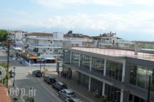 Villa Nikolas_best prices_in_Villa_Macedonia_Pieria_Paralia Katerinis