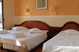 Delphi Palace_lowest prices_in_Hotel_Central Greece_Fokida_Delfi