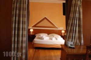 Delphi Palace_accommodation_in_Hotel_Central Greece_Fokida_Delfi