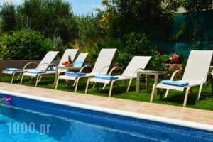 Villa Anastasia_best deals_Villa_Crete_Chania_Tavronit's