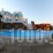 Galini Villa_lowest prices_in_Villa_Cyclades Islands_Mykonos_Platys Gialos