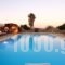 Galini Villa_best deals_Villa_Cyclades Islands_Mykonos_Platys Gialos