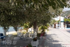 Hotel Prinos_best prices_in_Hotel_Aegean Islands_Thassos_Thassos Chora