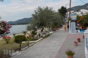 Hotel Prinos_best deals_Hotel_Aegean Islands_Thassos_Thassos Chora
