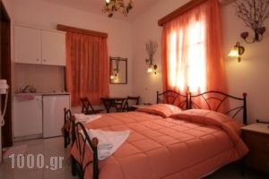 Studios Bourgos I_travel_packages_in_Cyclades Islands_Naxos_Naxos Chora