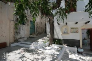 Studios Bourgos I_best prices_in_Hotel_Cyclades Islands_Naxos_Naxos Chora