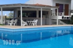 Remi Apartments in Malia, Heraklion, Crete