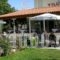 Villa Malia_accommodation_in_Villa_Crete_Heraklion_Malia