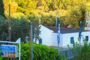 Studios Zaritsi_best deals_Hotel_Peloponesse_Arcadia_Kosmas