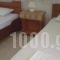 Kleanthis Apartments_best deals_Apartment_Macedonia_Halkidiki_Nea Moudania