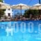 Kalithea Studios_best prices_in_Hotel_Sporades Islands_Alonnisos_Patitiri