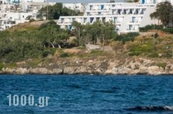 Hippocampus Hotel in Paros Chora, Paros, Cyclades Islands