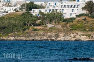 Hippocampus Hotel_accommodation_in_Hotel_Cyclades Islands_Paros_Paros Chora