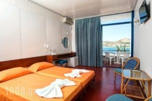 Hippocampus Hotel_holidays_in_Hotel_Cyclades Islands_Paros_Paros Chora