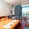 Hippocampus Hotel_holidays_in_Hotel_Cyclades Islands_Paros_Paros Chora