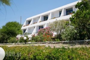 Hippocampus Hotel_best deals_Hotel_Cyclades Islands_Paros_Paros Chora
