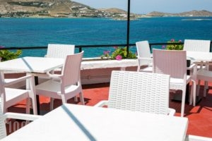 Hippocampus Hotel_best prices_in_Hotel_Cyclades Islands_Paros_Paros Chora
