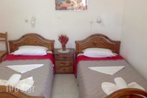 Manolis Maria Flitzani Studios_best prices_in_Hotel_Aegean Islands_Ikaria_Ikaria Chora