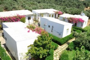 Ikaros Studios_holidays_in_Hotel_Crete_Rethymnon_Plakias