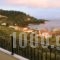 Golden Beach Inn_accommodation_in_Hotel_Aegean Islands_Thasos_Limenaria