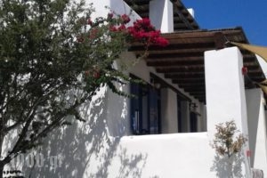 Patriko_best deals_Hotel_Sporades Islands_Skyros_Aspous