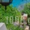 Plaka Studios_best prices_in_Hotel_Aegean Islands_Chios_Aghia Ermioni